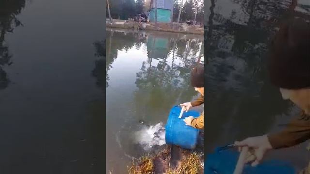 запуск на путевки смотреть онлайн