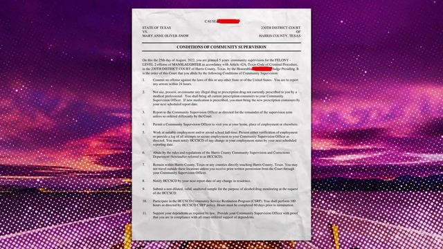 Snowthesaltqueen SENTENCED... To COMMUNITY SERVICE??? смотреть онлайн