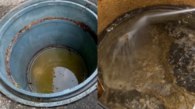 【詰まり抜き】敷地内の桝に汚水が全て逆流！？原因はここでした！！職人による高圧洗浄で排水管をきれいに掃除！すっきり！[drain][排水溝掃除][現場] смотреть онлайн