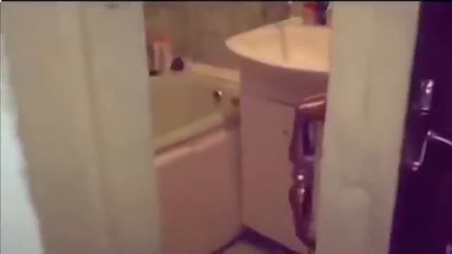 cat closes the door. Кошка закрывает дверь смотреть онлайн