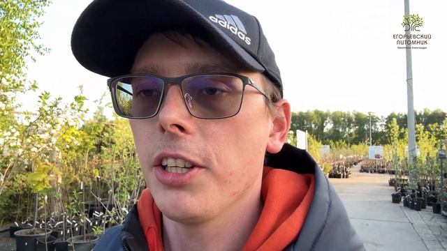 Разговоры об уходе за плодовыми деревьями смотреть онлайн