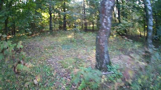 ЭКСПЕДИЦИЯ ЗА МЕТАЛОМ ! ВЫВОЗИМ ВСЕ ! ЦЕНА НА ЖЕЛЕЗО УПАЛА ! ПОДГОТОВКА К ПОЕЗДКЕ НА УРАЛ ! смотреть онлайн