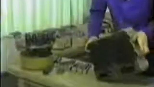 Cummins, NTA 855 Desmontagem e Montagem parte 02 смотреть онлайн