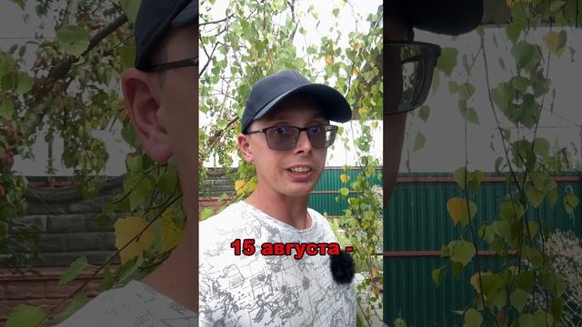 ОСЕННЕЕ ВНЕСЕНИЕ УДОБРЕНИЙ смотреть онлайн