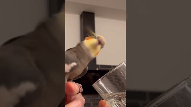 Ооо вода смотреть онлайн