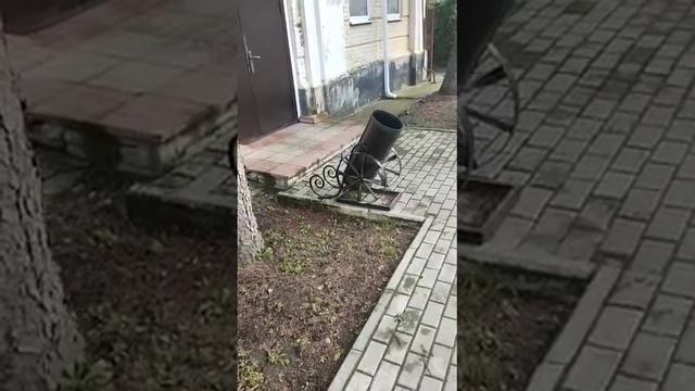 Урна пушка. смотреть онлайн