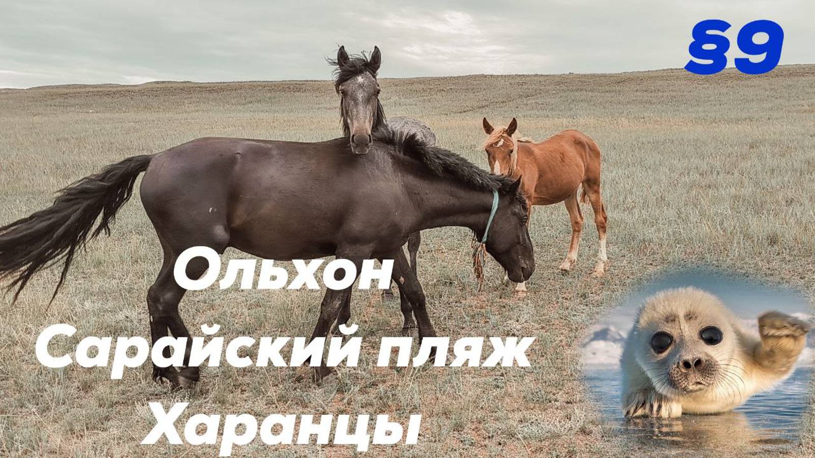 Ольхон. Сарайский пляж. Харанцы