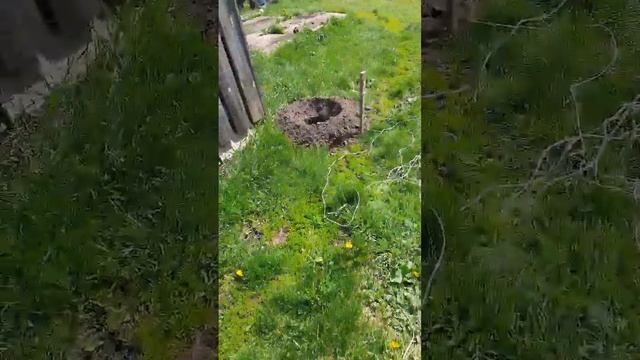 ЯМОБУР Т-40АМ ЗАБОР СИНИЙ ТРАКТОР смотреть онлайн