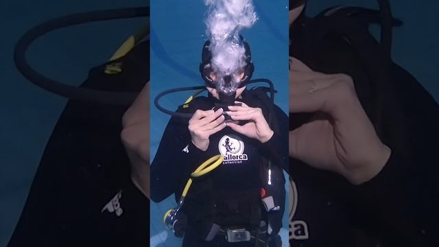 Экзамен по курсу OWD Дайвинг в Брянске смотреть онлайн