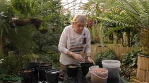 Субстраты для посадки растений.