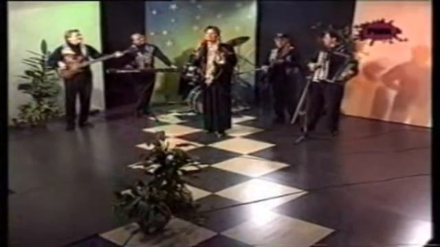 Lepa Lukic - Nad Izvorom Vrba Se Nadnela - (LIVE) - A Sto Ne Bi Moglo - (Tv Pink 1997)