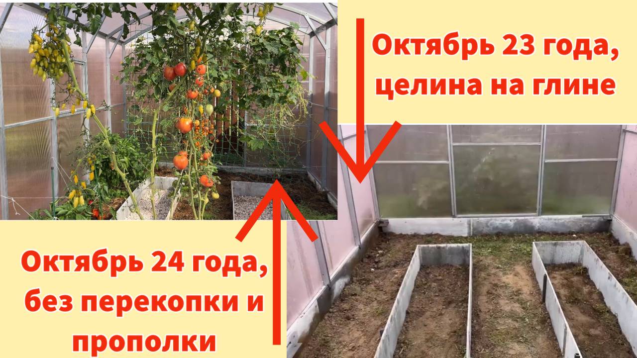 КАК ЛЕГКО ОСВОИТЬ ОГОРОД С НУЛЯ, СДЕЛАТЬ ГРЯДКУ БЕЗ ПЕРЕКОПКИ И ПРОПОЛКИ смотреть онлайн