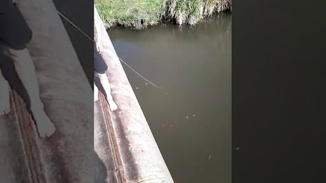 Рыбалка на паук (подъемник) смотреть онлайн