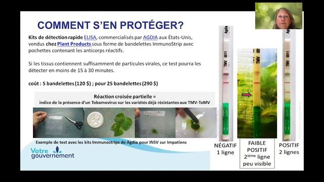 Que sait-on actuellement sur le virus de la rugose? смотреть онлайн