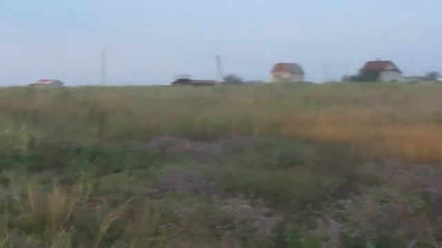 Стартовый пистолет Лобанова ИЖ СПЛ 01 смотреть онлайн