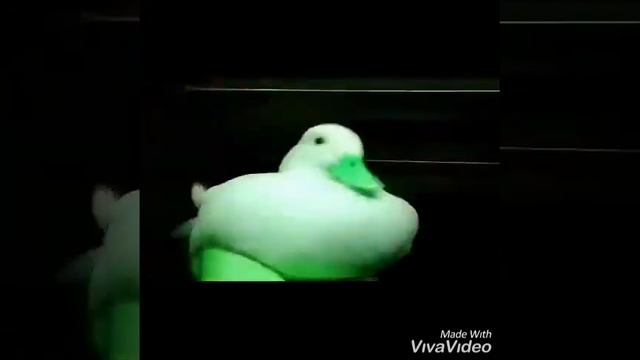 STALCRAFT Неудачные дубли смотреть онлайн