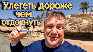 Continental Plaza beach Resort 4* обзор отеля