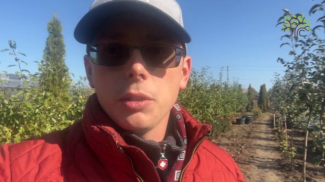 Агроном Егорьевского питомника Никитенко Александра рассказывает об осеннем поливе смотреть онлайн