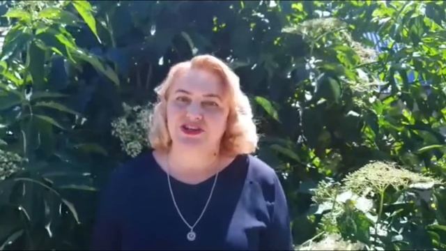 Поздравление выпускников. Биологический факультет СГУ смотреть онлайн