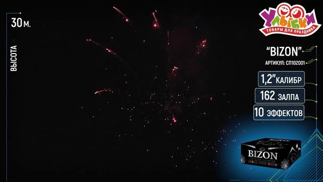 СП1020001 BIZON смотреть онлайн