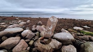 Остров мёртвых