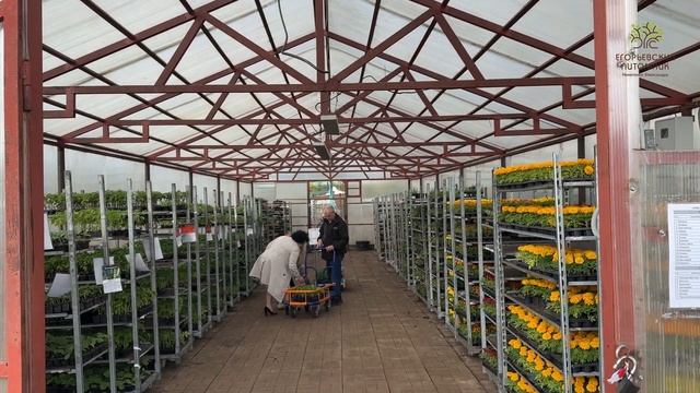 Таблички, указатели и баннеры в Егорьевском питомнике, которые помогают вам ориентироваться смотреть онлайн