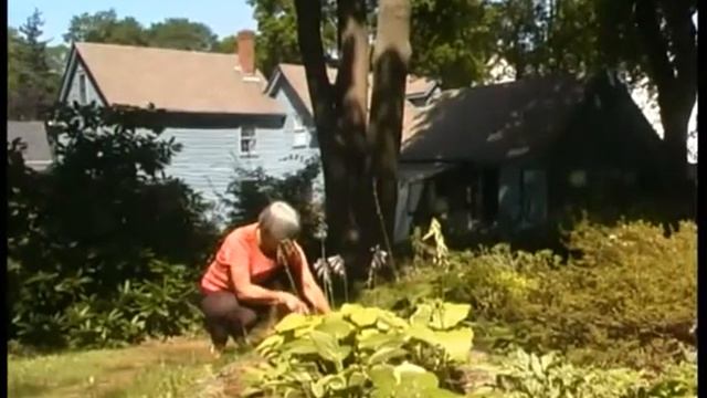 Всё, что в наших силах. часть 5 смотреть онлайн