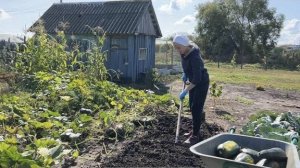 ЗАКРЫЛИ ОГОРОДНЫЙ СЕЗОН/ПОСАДИЛИ ДЕРЕВЬЯ/УЕЗЖАЕМ ОТДЫХАТЬ