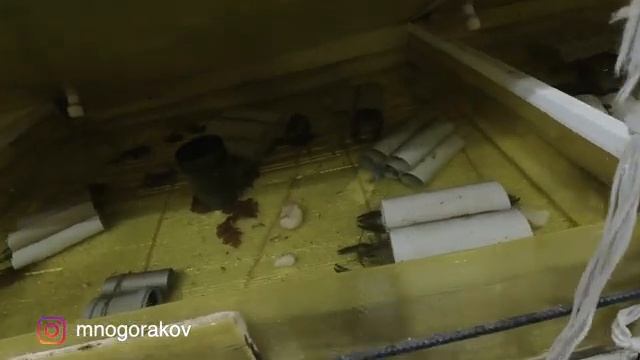 Самоизоляция - лучшее время для саморазвития смотреть онлайн