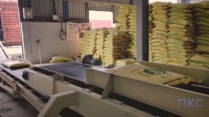 Погрузка мешков в крытые вагоны