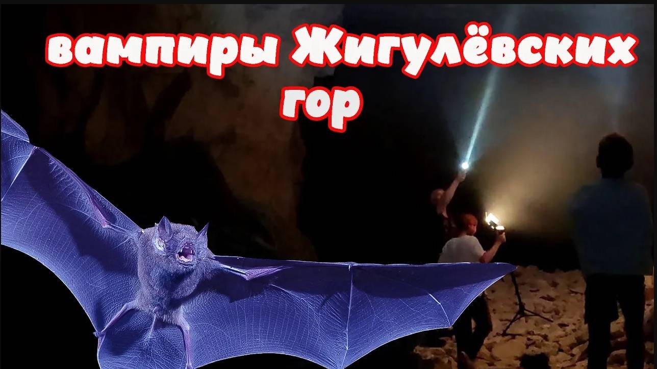 ВАМПИРЫ ЖИГУЛЁВСКИХ ГОР.Часть 1 | Рассказываем, про жизнь летучих мышей. Мифы и предрассудки