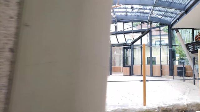 Zoo Schönbrunn. Ausflug Tier Anlagen Spaziergang mit den Mädels. Mi Note 10 Lite & DJI Osmo Mobile смотреть онлайн