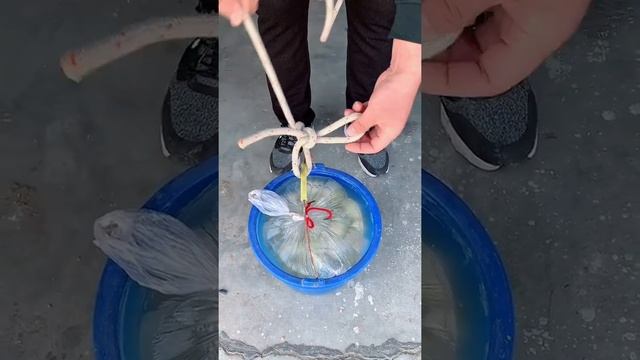 #EP77 DIY Cute Cute in daily life Short Video смотреть онлайн