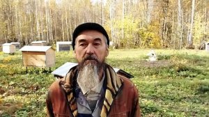 Пасека естественного пчеловодства.