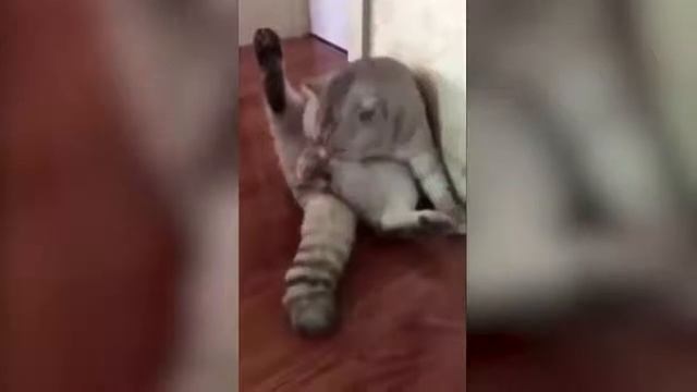 Где мои яйца??!! смотреть онлайн