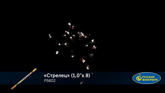 P5602 new смотреть онлайн