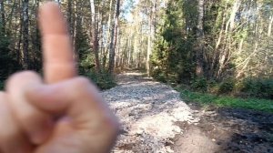 нашёл в лесу двигатель