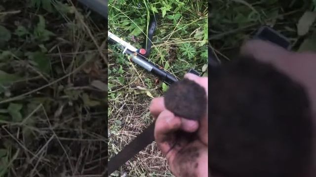 Копаю в 2023 смотреть онлайн