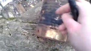 ПУ Сигнал охотника - Травмат ч.2