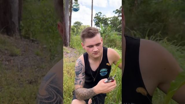 How to save $70 on a new tree {butter container update} смотреть онлайн