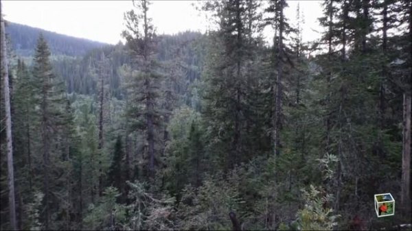 Горная Саланга