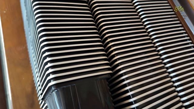 Саженцы клубники в Егорьевском питомнике Никитенко Александра смотреть онлайн