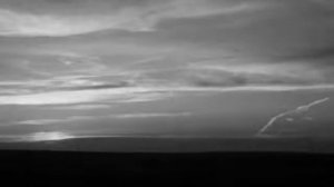 Ночь. День. Спать лень... Кино. На кухне. Цой.