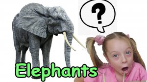 Слон Мир дикой природы