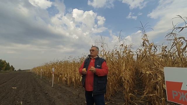 ГІБРИДИ КУКУРУДЗИ від компанії RAGT SEMENCES (РАЖТ СЕМЕНС). ЧАСТИНА2 смотреть онлайн