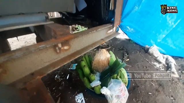 Baru jadi langsung di pakai hajatan anti ngebul !! diesel odong-odong wong LUMAJANG - KINGKONG AUDI смотреть онлайн