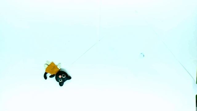 "Слишком веселый кот" Фролов Аркадий_Мультстудия "Пионер", г.Елец.10.24