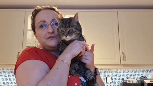 ПОСИДЕЛКИ НА КУХНЕ. Про работу, про котов, про подарки. смотреть онлайн