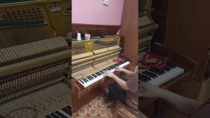 «Ростов-Дон» пианино, после настройки.