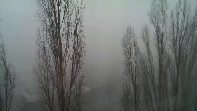 27.12.2015 г.Энгельс Снежный Буран смотреть онлайн